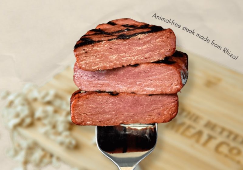 fork with kosher food on it