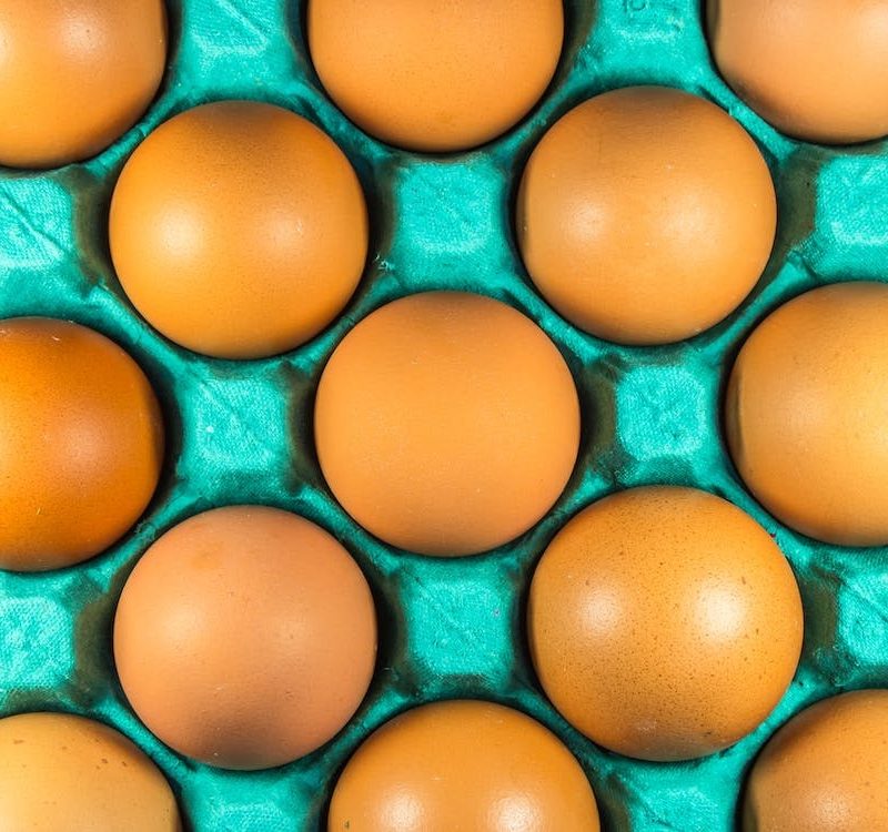 eggs in crate