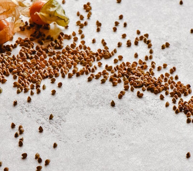 buckwheat kernels