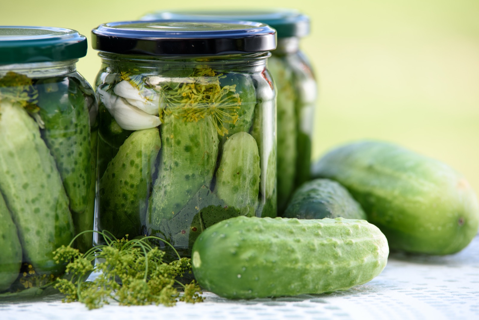 Jars of pickled cucumbers in brine with fresh dill and garlic, beside fresh cucumbers