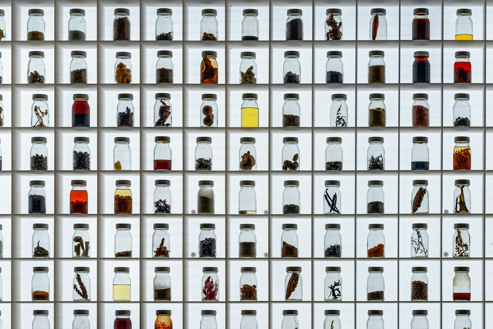 Rows of unlabeled glass jars in a backlit ingredient library, holding seeds, peppercorns, vanilla pods, dried chilies, mushrooms, seaweed, herbs, and liquid extracts